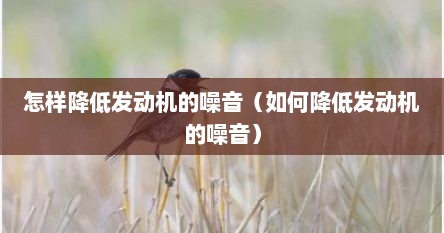 怎样降低发动机的噪音（如何降低发动机的噪音）