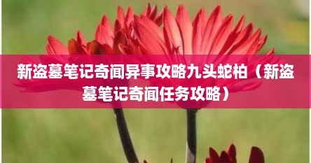 新盗墓笔记奇闻异事攻略九头蛇柏（新盗墓笔记奇闻任务攻略）