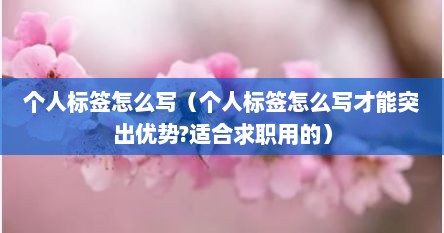 个人标签怎么写（个人标签怎么写才能突出优势?适合求职用的）