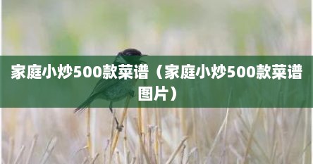 家庭小炒500款菜谱（家庭小炒500款菜谱图片）