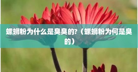 螺蛳粉为什么是臭臭的?（螺蛳粉为何是臭的）