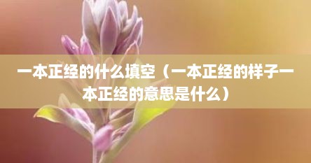 一本正经的什么填空（一本正经的样子一本正经的意思是什么）