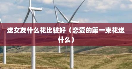 送女友什么花比较好（恋爱的第一束花送什么）
