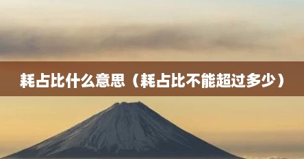耗占比什么意思（耗占比不能超过多少）