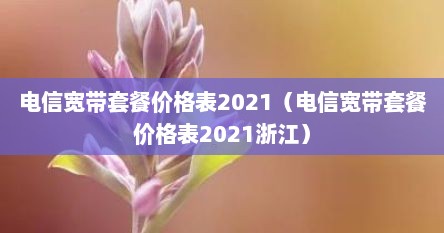 电信宽带套餐价格表2021（电信宽带套餐价格表2021浙江）