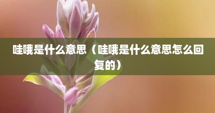 哇哦是什么意思（哇哦是什么意思怎么回复的）