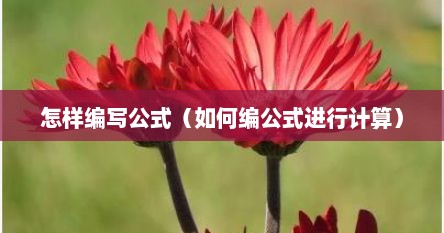 怎样编写公式（如何编公式进行计算）