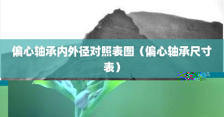 偏心轴承内外径对照表图（偏心轴承尺寸表）