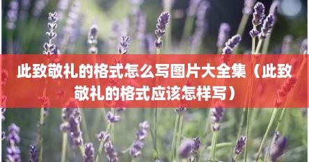 此致敬礼的格式怎么写图片大全集（此致敬礼的格式应该怎样写）