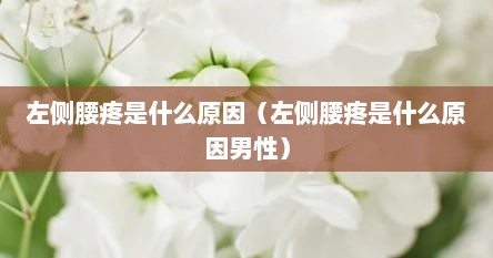 左侧腰疼是什么原因（左侧腰疼是什么原因男性）