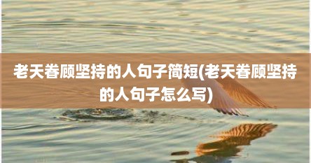 老天眷顾坚持的人句子简短(老天眷顾坚持的人句子怎么写)
