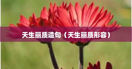 天生丽质造句（天生丽质形容）
