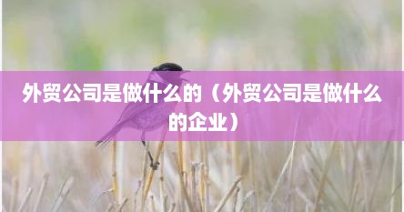 外贸公司是做什么的（外贸公司是做什么的企业）