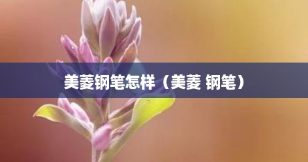 美菱钢笔怎样（美菱 钢笔）