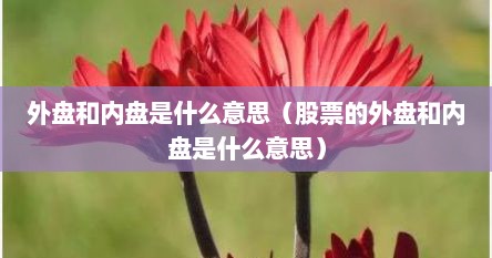 外盘和内盘是什么意思（股票的外盘和内盘是什么意思）