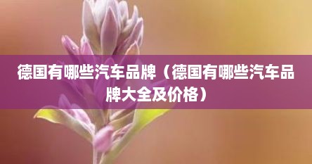 德国有哪些汽车品牌（德国有哪些汽车品牌大全及价格）