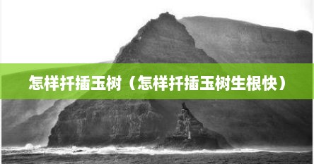 怎样扦插玉树（怎样扦插玉树生根快）