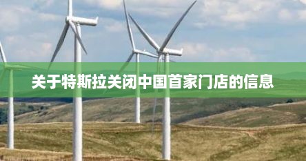 关于特斯拉关闭中国首家门店的信息