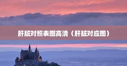 肝脏对照表图高清（肝脏对应图）