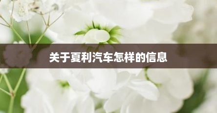 关于夏利汽车怎样的信息