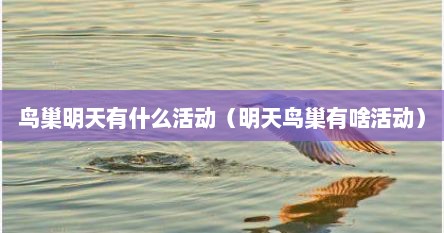 鸟巢明天有什么活动（明天鸟巢有啥活动）