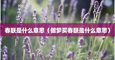 春联是什么意思（做梦买春联是什么意思）
