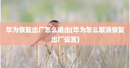华为恢复出厂怎么退出(华为怎么取消恢复出厂设置)