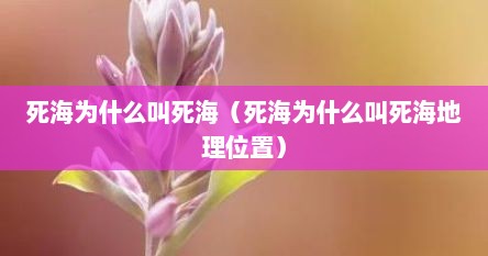 死海为什么叫死海（死海为什么叫死海地理位置）