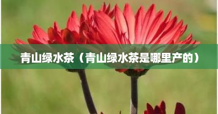 青山绿水茶（青山绿水茶是哪里产的）