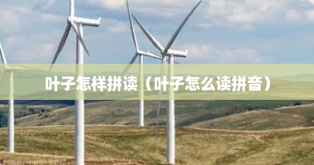 叶子怎样拼读（叶子怎么读拼音）