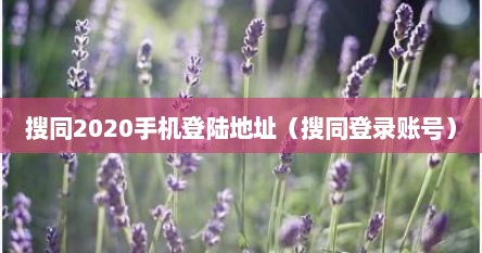 搜同2020手机登陆地址（搜同登录账号）