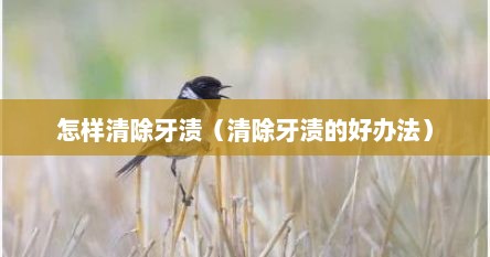 怎样清除牙渍（清除牙渍的好办法）