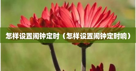 怎样设置闹钟定时（怎样设置闹钟定时响）