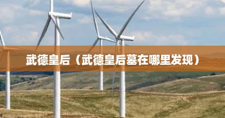 武德皇后（武德皇后墓在哪里发现）