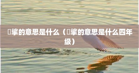挓挲的意思是什么（挓挲的意思是什么四年级）