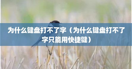 为什么键盘打不了字（为什么键盘打不了字只能用快捷键）