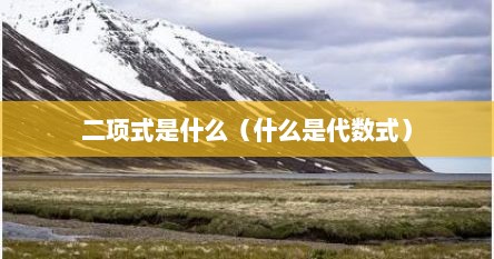 二项式是什么（什么是代数式）