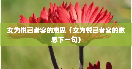 女为悦己者容的意思（女为悦己者容的意思下一句）