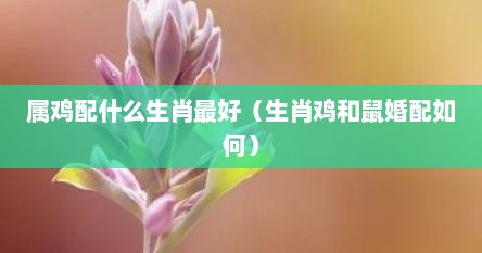 属鸡配什么生肖最好（生肖鸡和鼠婚配如何）