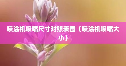 喷涂机喷嘴尺寸对照表图（喷涂机喷嘴大小）