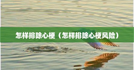 怎样排除心梗（怎样排除心梗风险）
