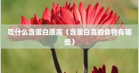 吃什么含蛋白质高（含蛋白高的食物有哪些）