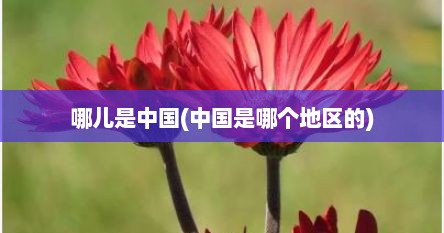 哪儿是中国(中国是哪个地区的)