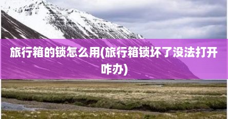 旅行箱的锁怎么用(旅行箱锁坏了没法打开咋办)