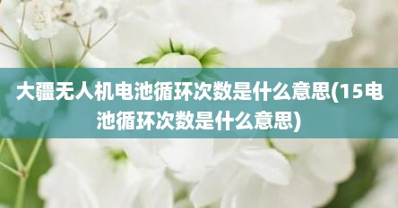 大疆无人机电池循环次数是什么意思(15电池循环次数是什么意思)