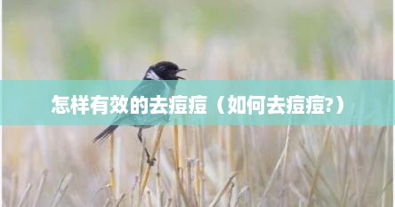 怎样有效的去痘痘（如何去痘痘?）