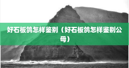 好石板鸽怎样鉴别（好石板鸽怎样鉴别公母）