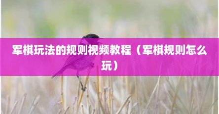 军棋玩法的规则视频教程（军棋规则怎么玩）