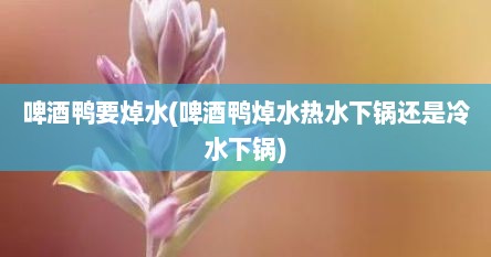 啤酒鸭要焯水(啤酒鸭焯水热水下锅还是冷水下锅)
