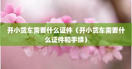 开小货车需要什么证件（开小货车需要什么证件和手续）